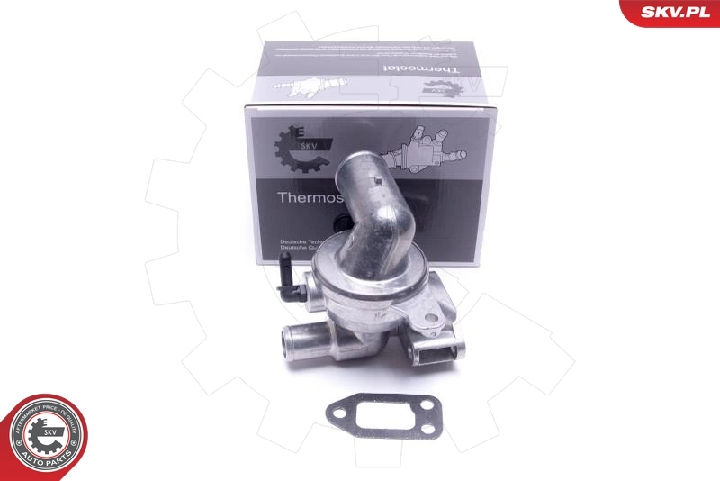 Thermostat, coolant